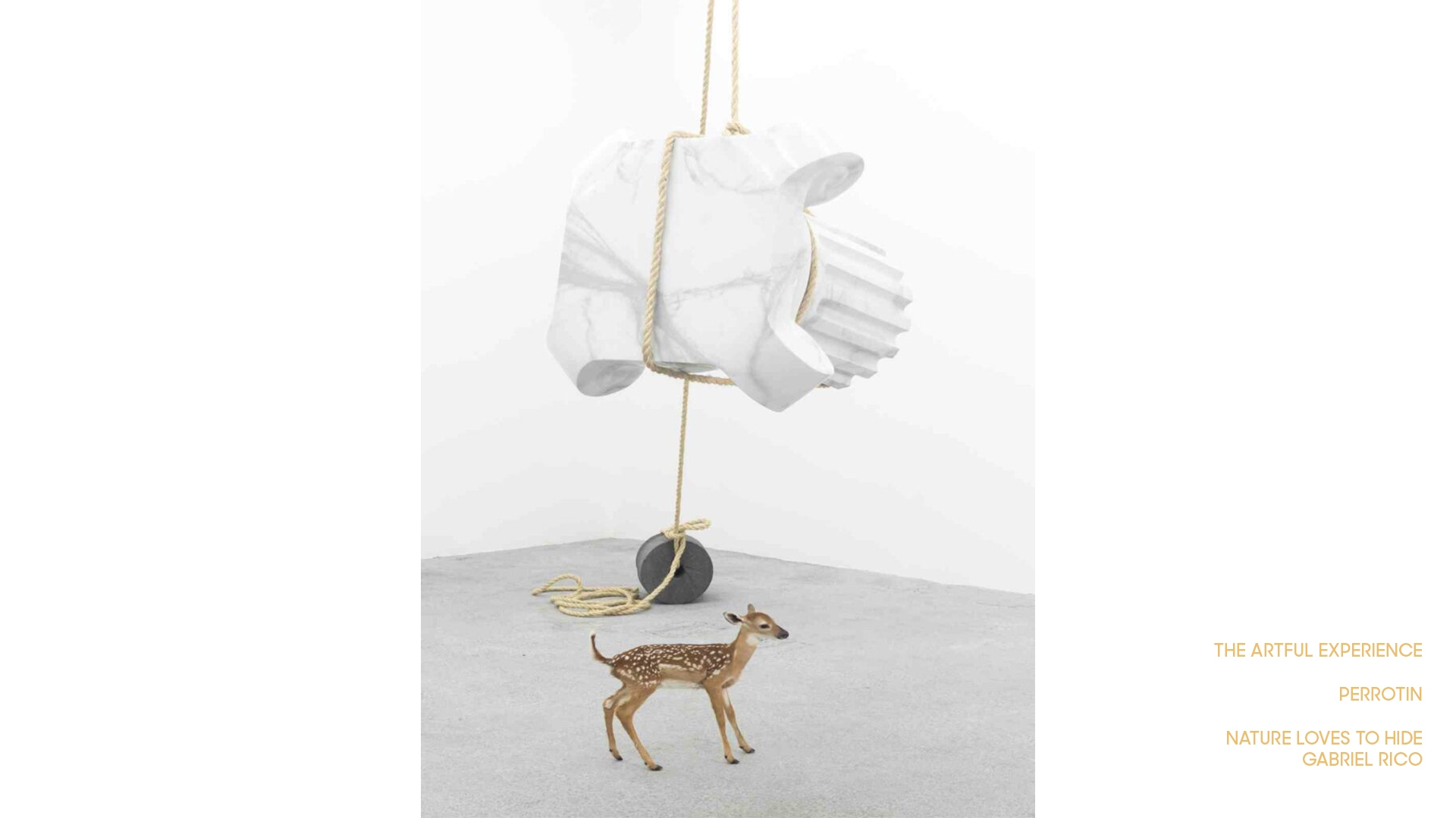 Perrotin_3