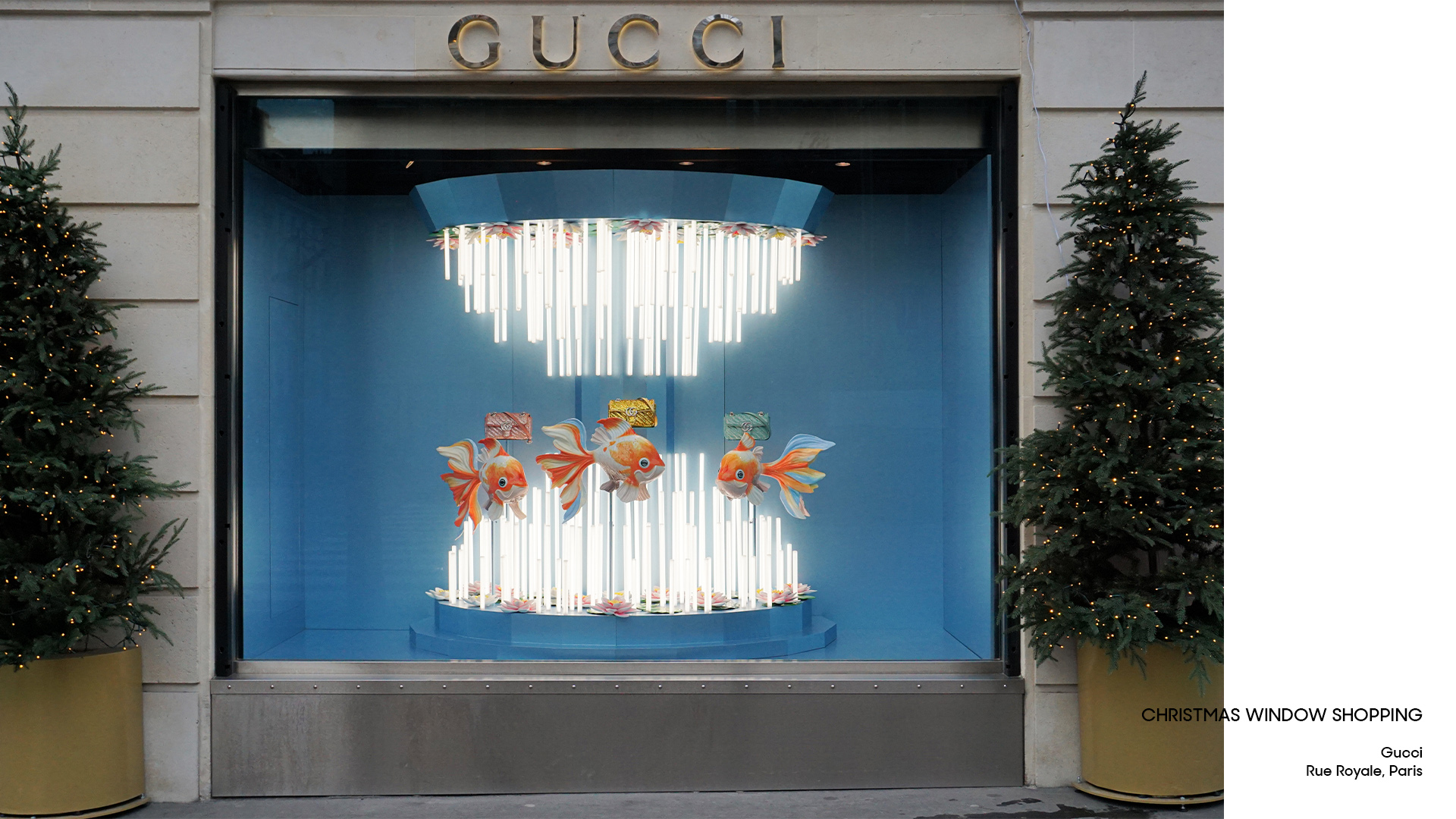 27_Gucci