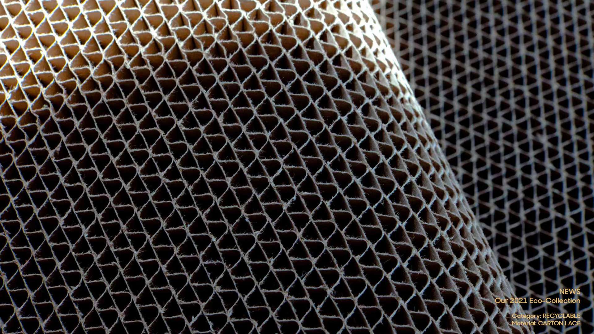 Recyclable_Carton Lace