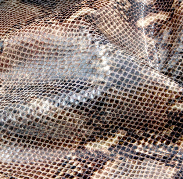 reptile - a fake snakeskin material